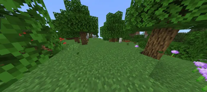 Blocky forest with grass and flowers