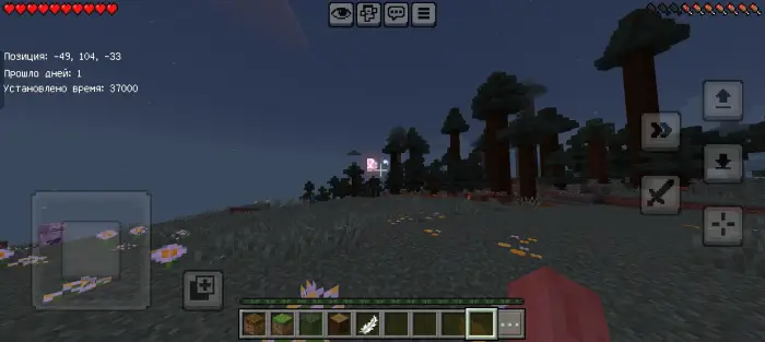 Player explores eerie forest at night