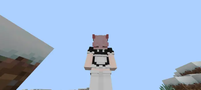 3D-effect player skin with cat ears