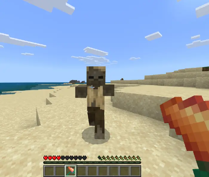Player faces a hostile mob on a sandy beach.