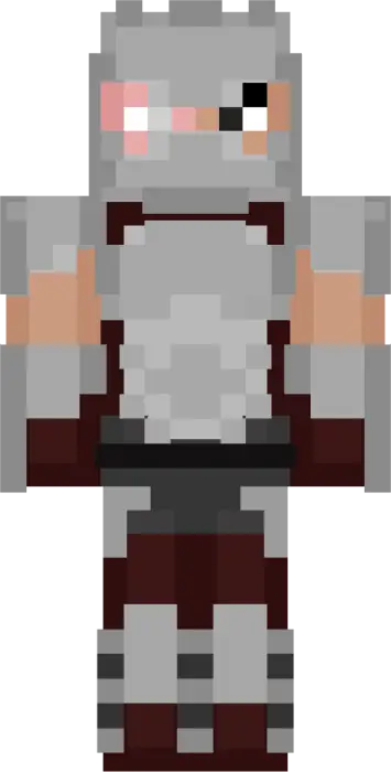 Funko-style armored ninja turtle skin