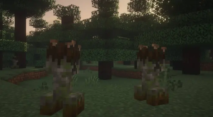 Forest-themed creepers with new textures