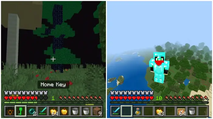 Left Portal view with Home Key item Right Armored player floating above forest