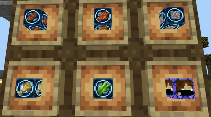 Six item frames displaying custom farm icons