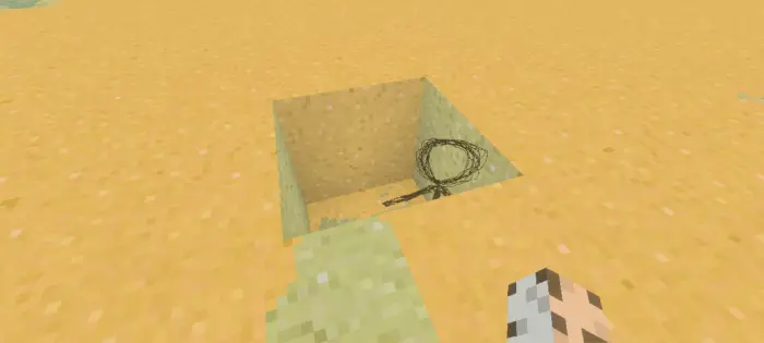 Lasso and stick in a sand pit