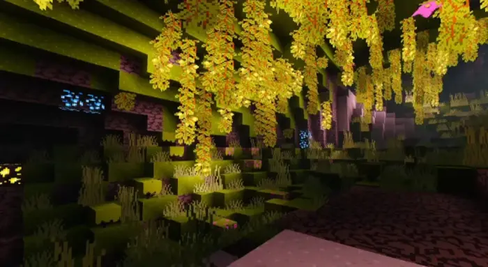 Sunlit vines and glowing foliage in a cave