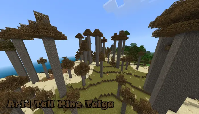 Tall pine trees in an arid taiga biome