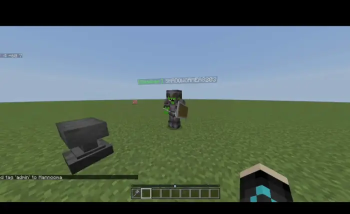 Player with rank tag stands on grass field