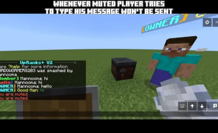 Player with owner rank, chat muted message