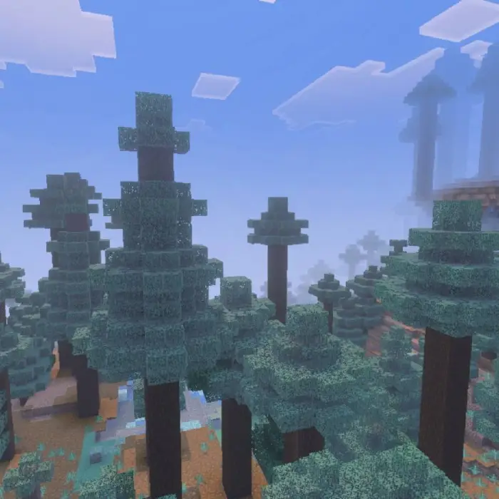 Blocky spruce trees in a misty forest.