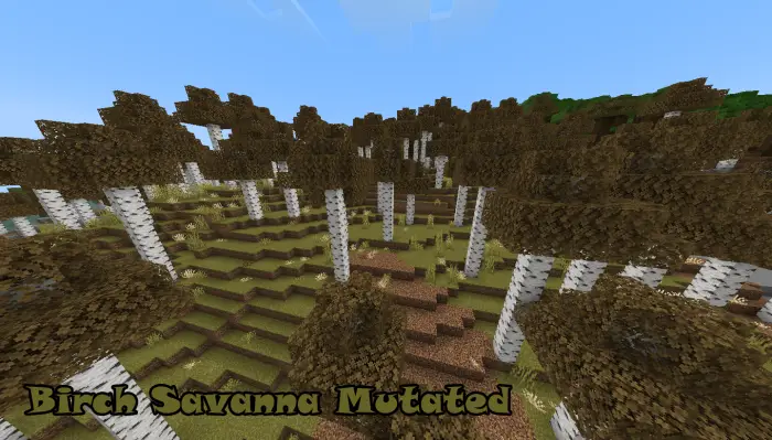 Birch trees in a mutated savanna biome