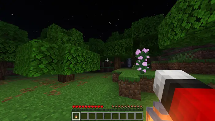 Player holding lantern lights up forest at night