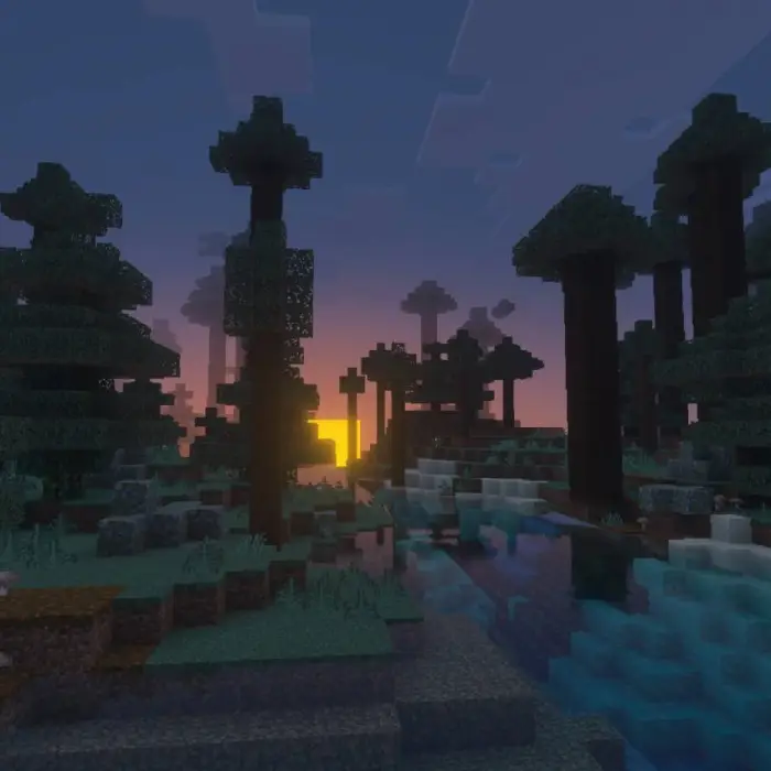 Blocky spruce forest at sunset by a river
