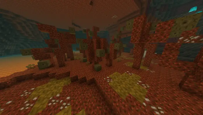 Red and yellow terrain with unique plants