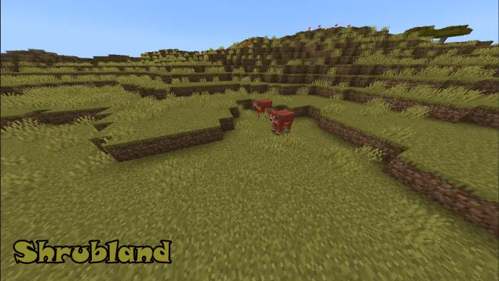 Two cows in a grassy shrubland terrain