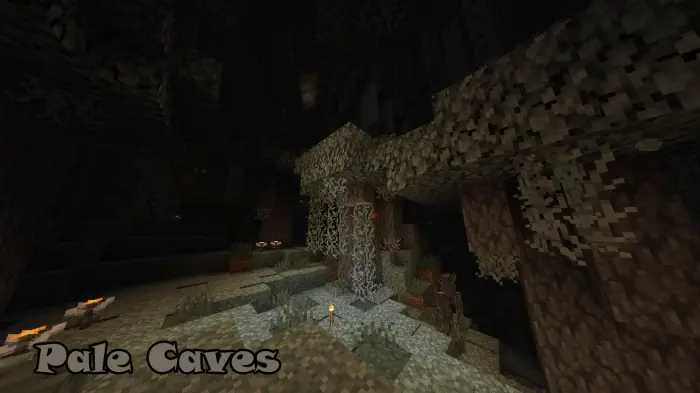 Pale cave biome with stone and vines