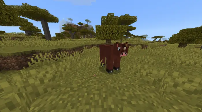 Blocky cow in a grassy savanna biome