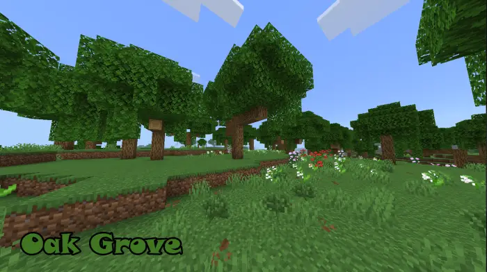 Oak grove with grass and scattered flowers