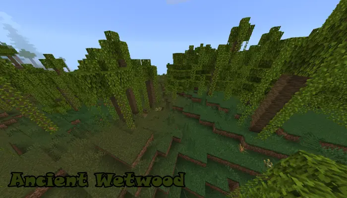 Dense green forest labeled Ancient Wetwood