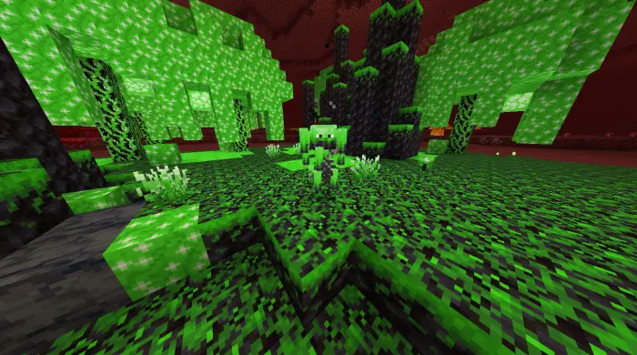 Glowing green Nether biome with unique mob