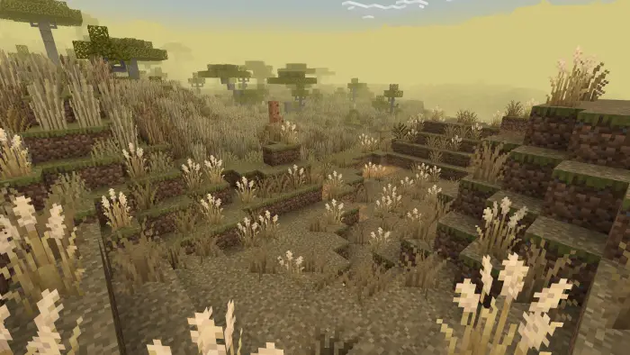 Blocky savanna landscape with tall grass