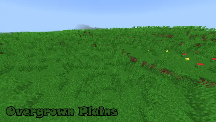 Lush grassy plains with scattered flowers