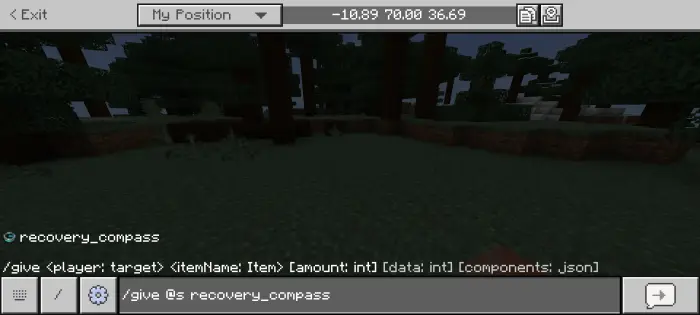 Game chat command input with forest background