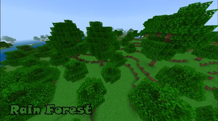 Blocky rainforest biome with dense trees