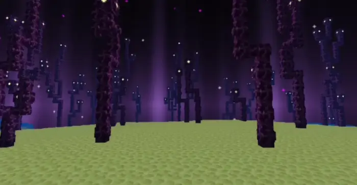 Glowing purple forest with smooth lighting