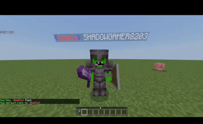 Player with rank tag and gear on grassy field