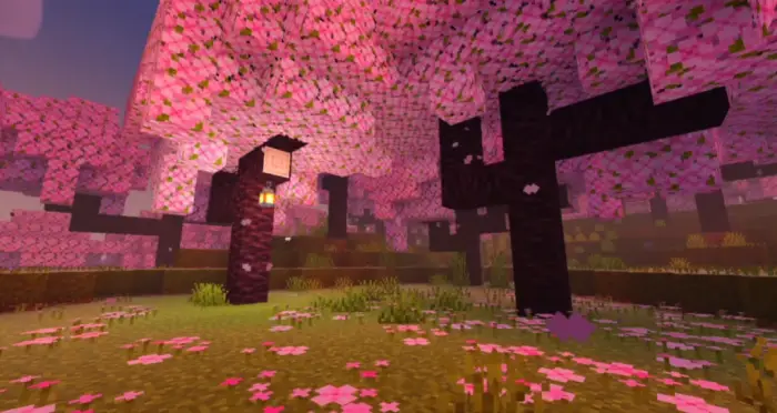 Cherry blossom forest with enhanced lighting