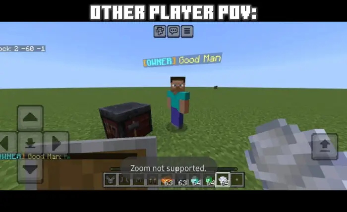 Player with Owner rank in-game view