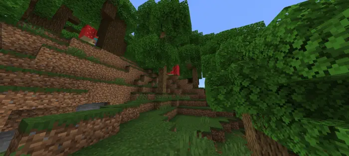 Dense forest with shadows and red mushrooms