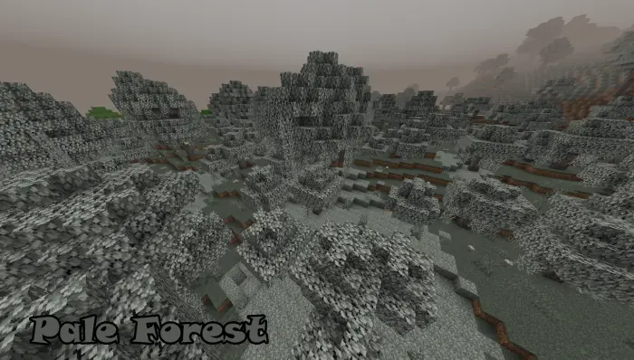 Gray, misty forest biome with pale trees.