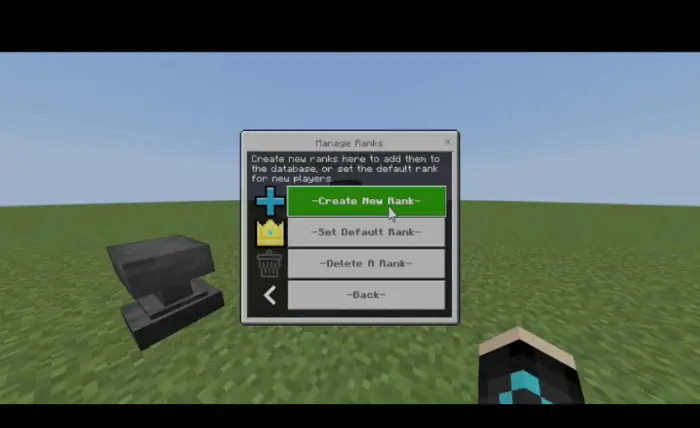 Rank management menu with anvil nearby
