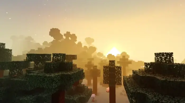 Sunset with glowing trees and smooth shadows