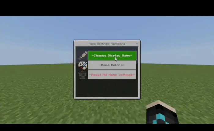 In-game rank and name settings menu