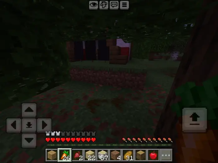 Dark forest scene with a hidden red bed