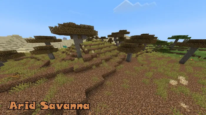 Dry savanna landscape with sparse trees