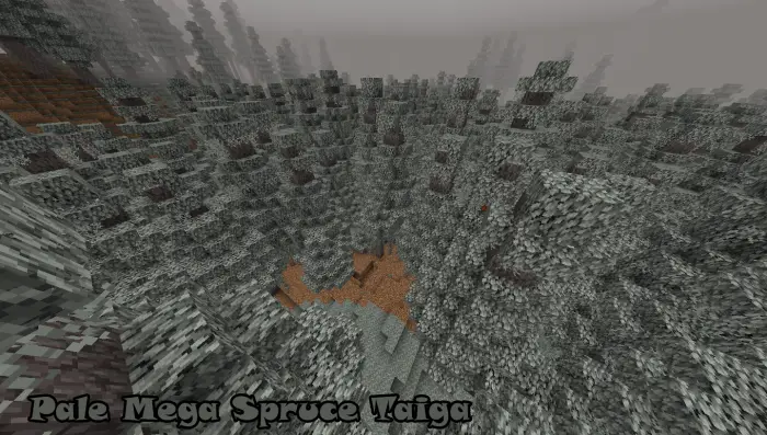 Pale mega spruce taiga forest landscape