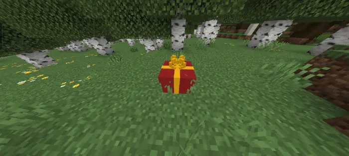 Gift box on grass in a birch forest