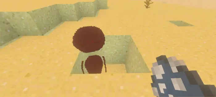 Round brown creature in sandy pit