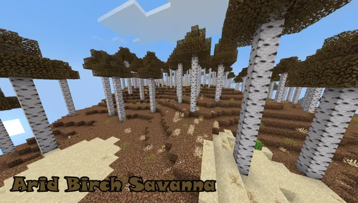 Birch savanna with dry terrain and trees