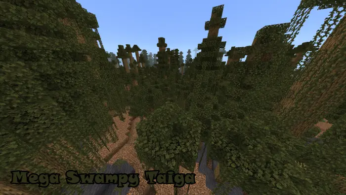 Dense forest with vines and tall trees
