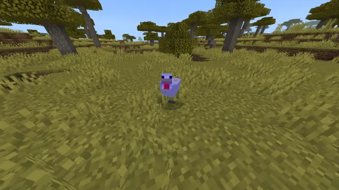 Blocky chicken in a grassy savanna biome