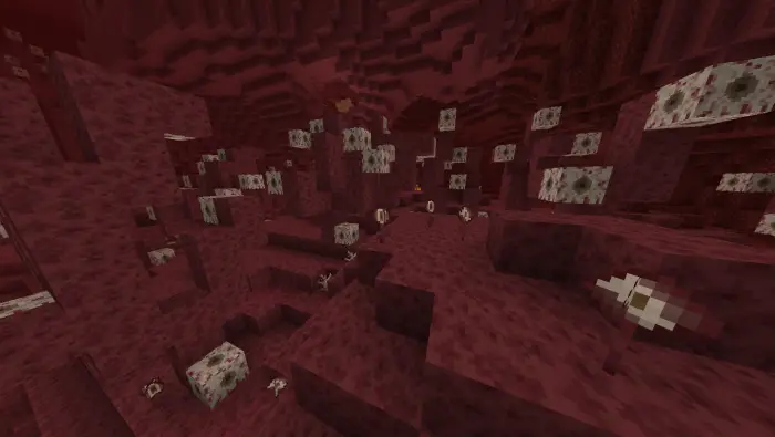 Red terrain with scattered fleshy blocks