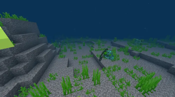 Underwater mobs among sea grass and rocks