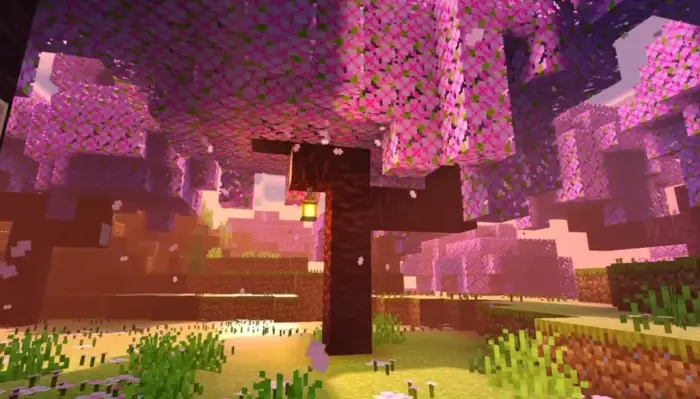 Glowing cherry trees with soft shadows