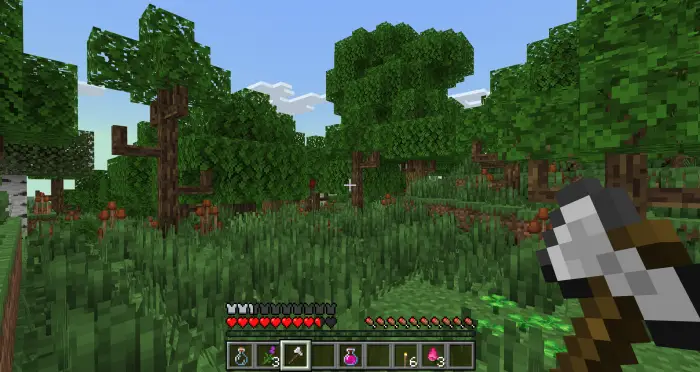 Lush forest landscape with dense greenery