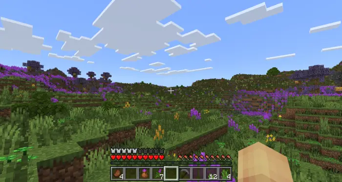 Lush grassy hills with purple wildflowers